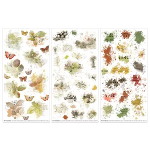 49 and Market - Vintage Orchard - 6x12 "Blendable" Rub-ons