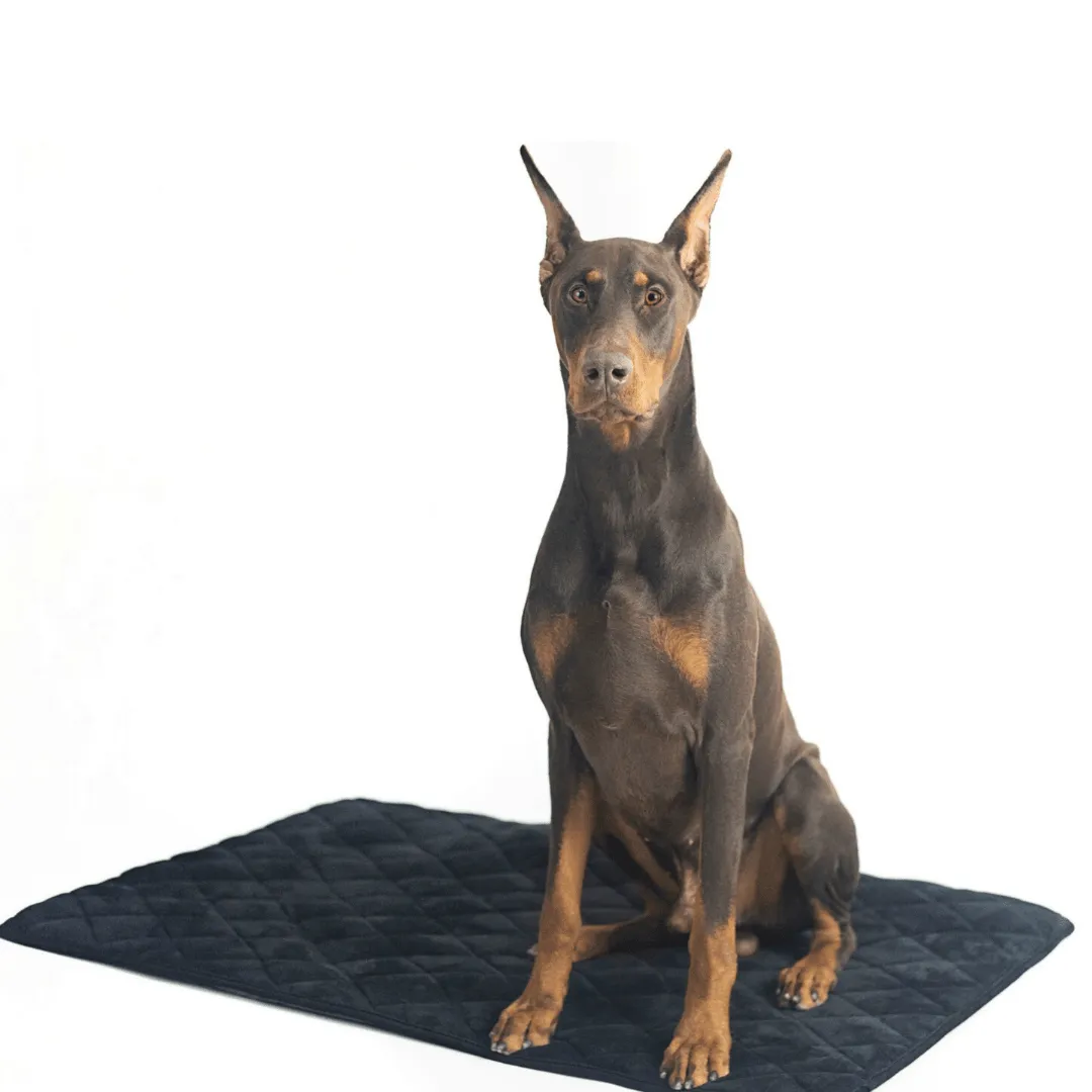 Crate Mat / Travel Bed