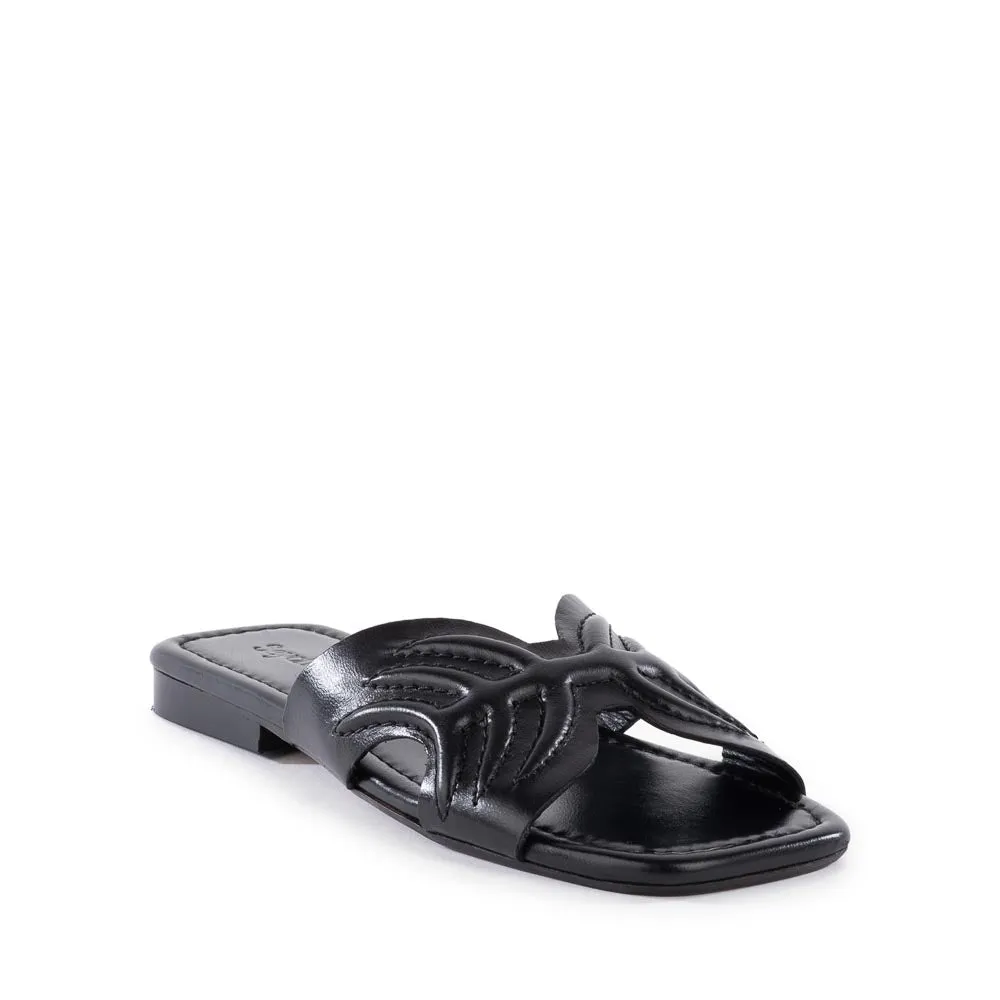 Madhu Sandal