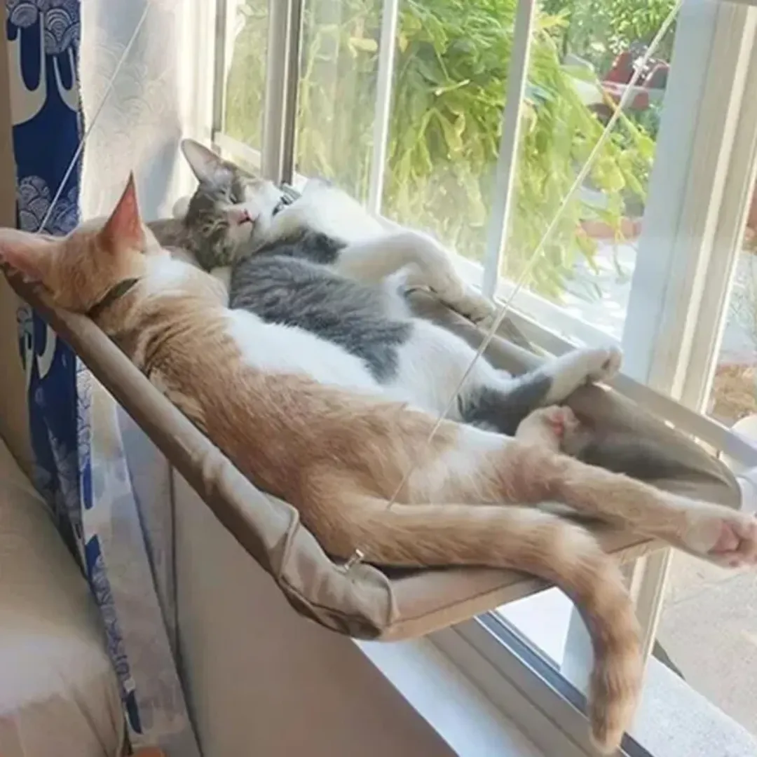 Stylish Cat Window Hammock Perch