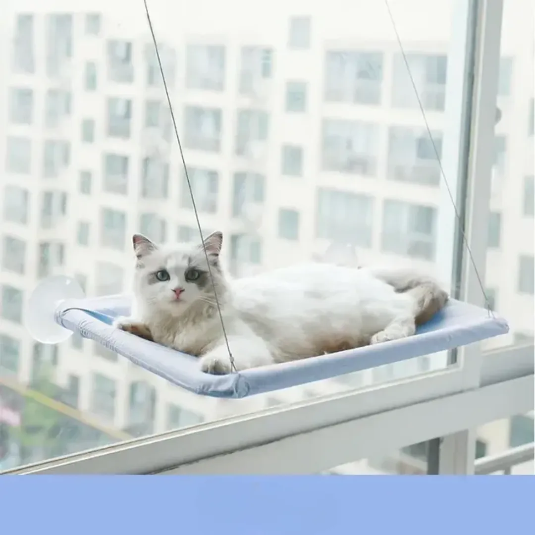 Stylish Cat Window Hammock Perch