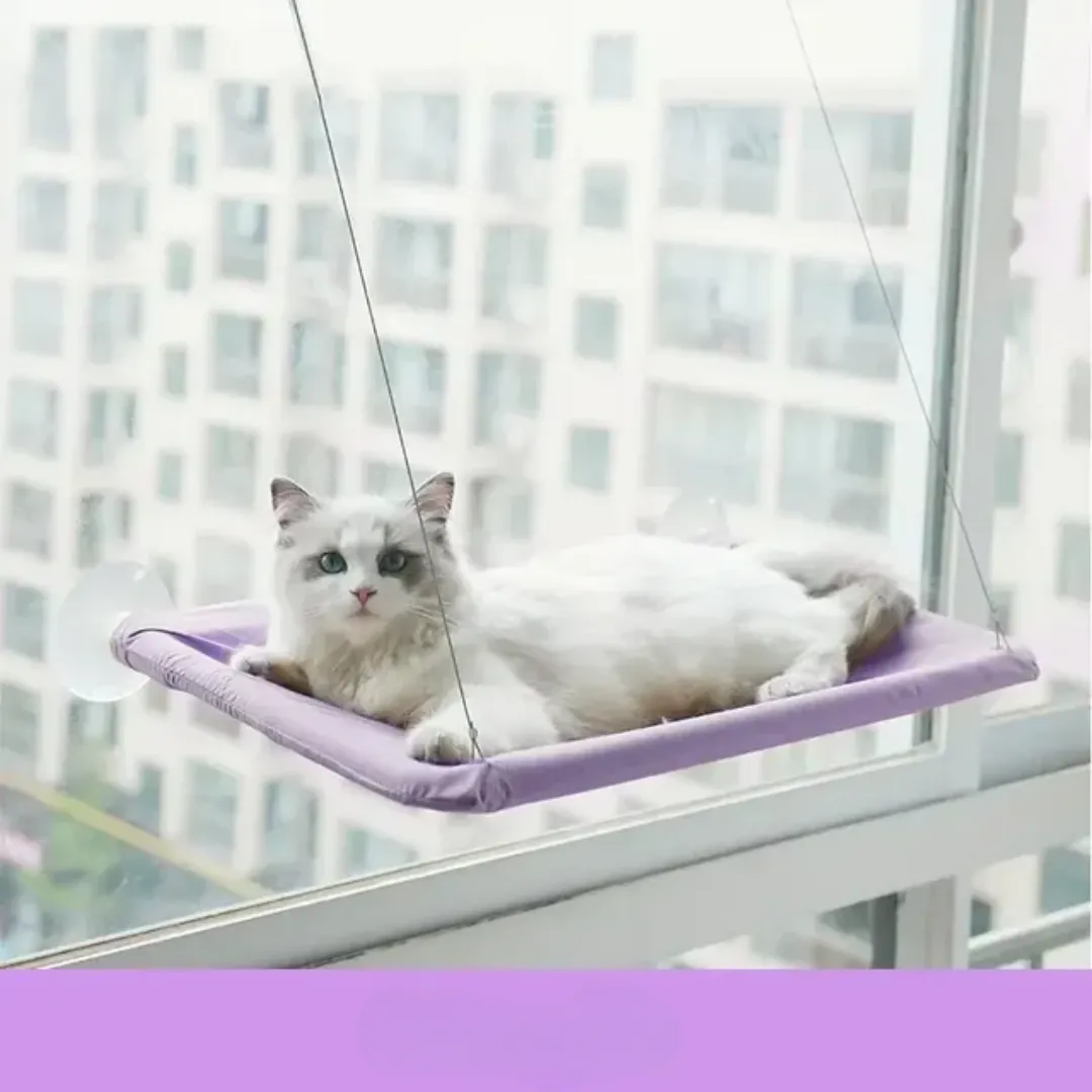 Stylish Cat Window Hammock Perch