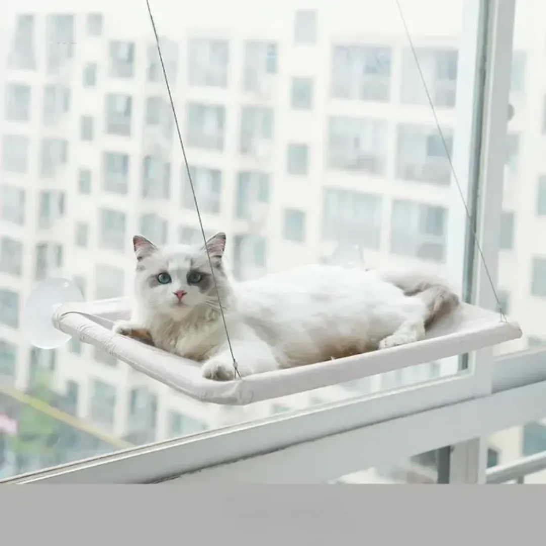 Stylish Cat Window Hammock Perch