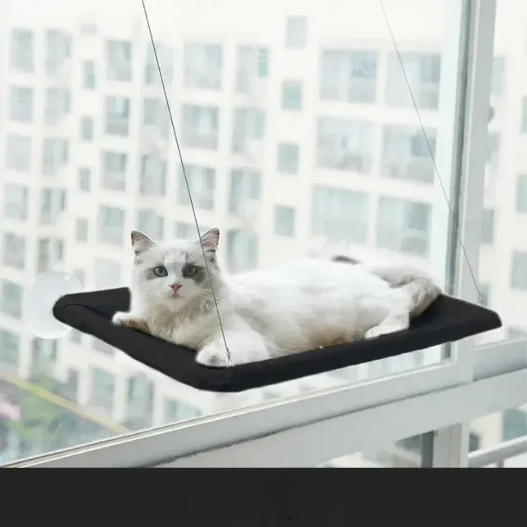 Stylish Cat Window Hammock Perch