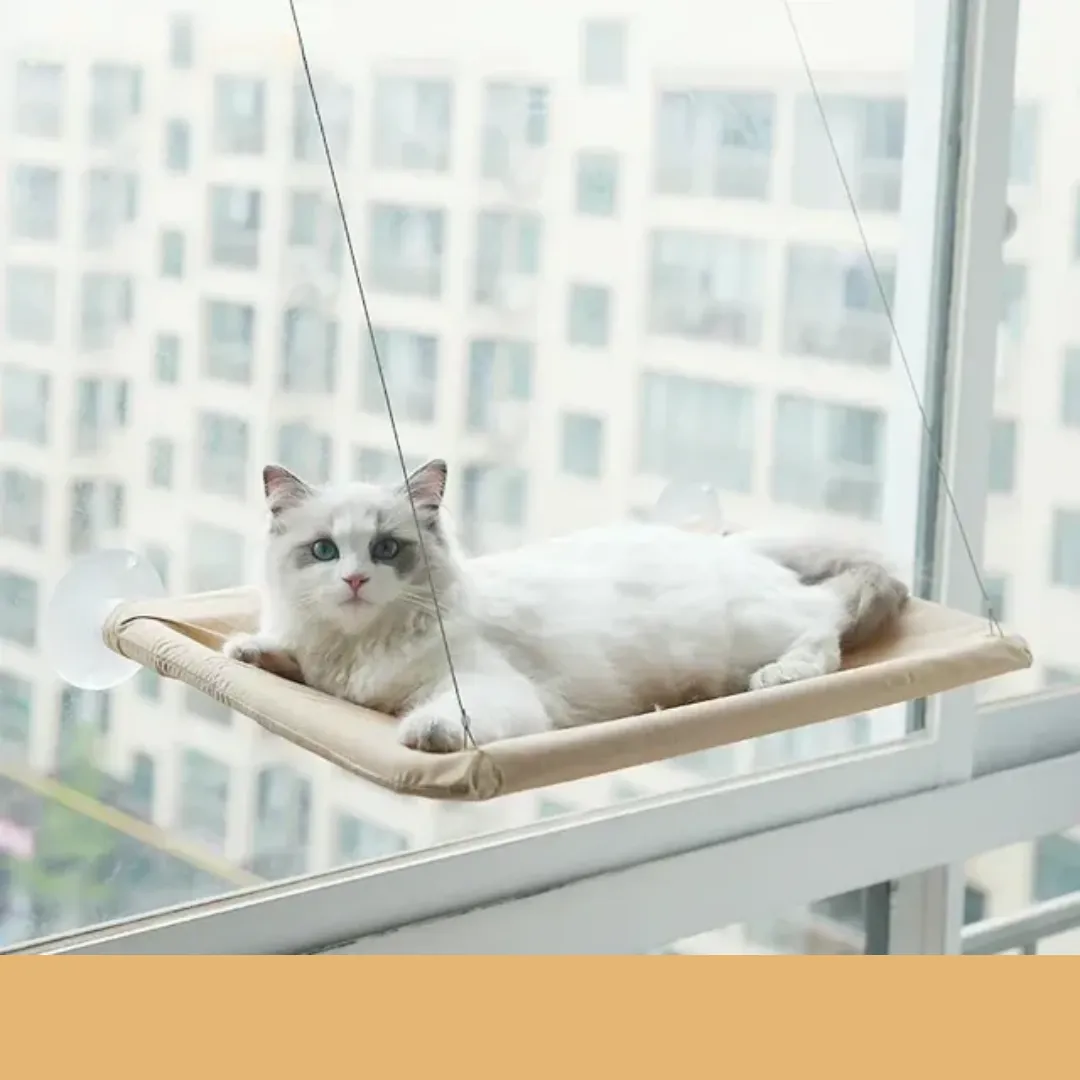 Stylish Cat Window Hammock Perch